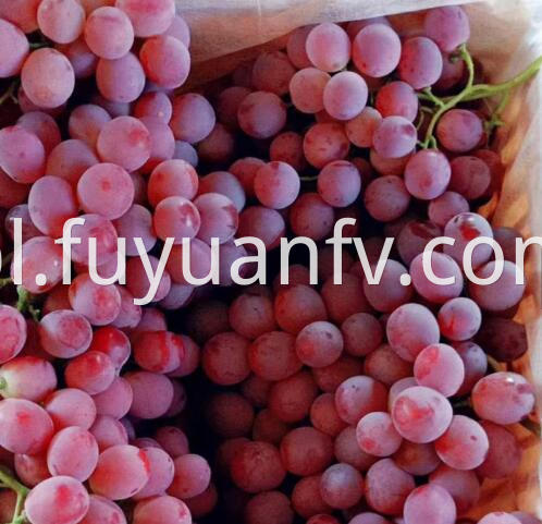 fresh grapes